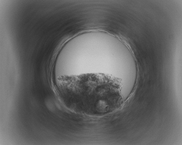 X0000114180145200910081140