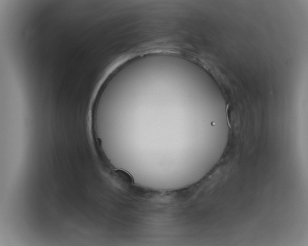 X0000114180148200910081140