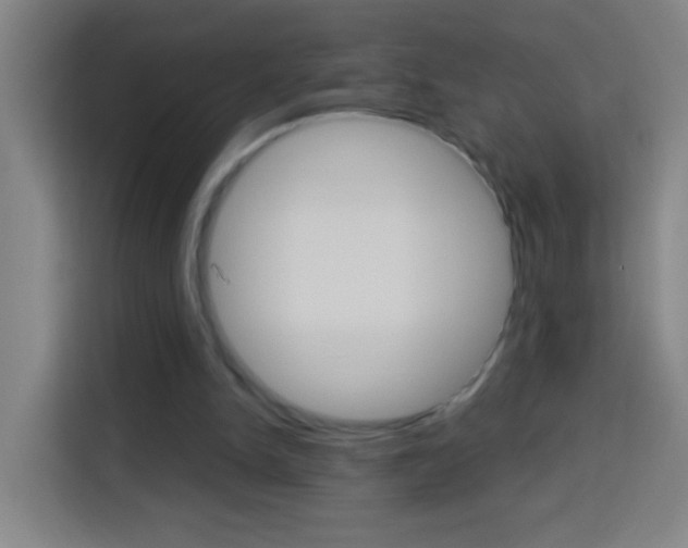 X0000114180150200910081140