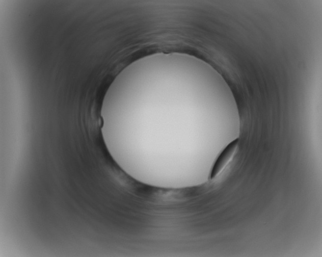 X0000114180186200910081140