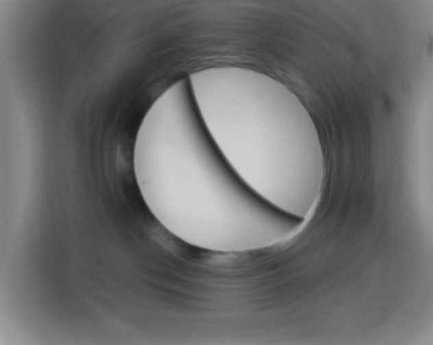 X0000114180190200910081141