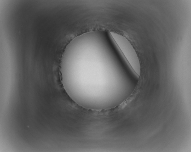X0000114180192200910081141