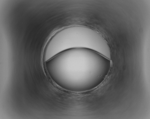 X0000114180195200910081140