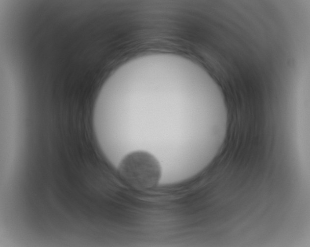 X0000114180223200910081140