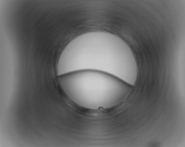 X0000114180229200910081139