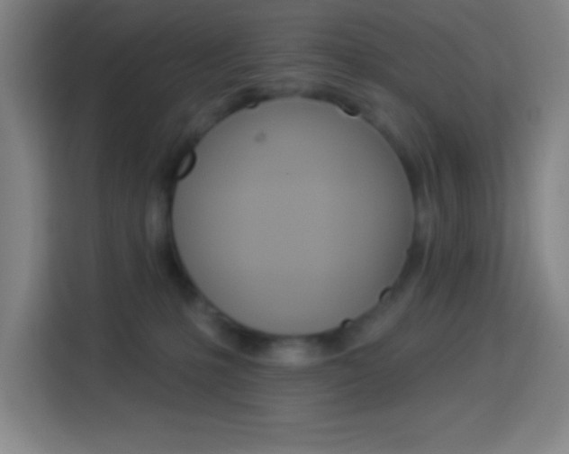 X0000114180231200910081139