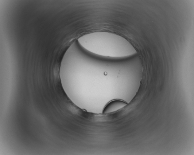 X0000114180240200910081139