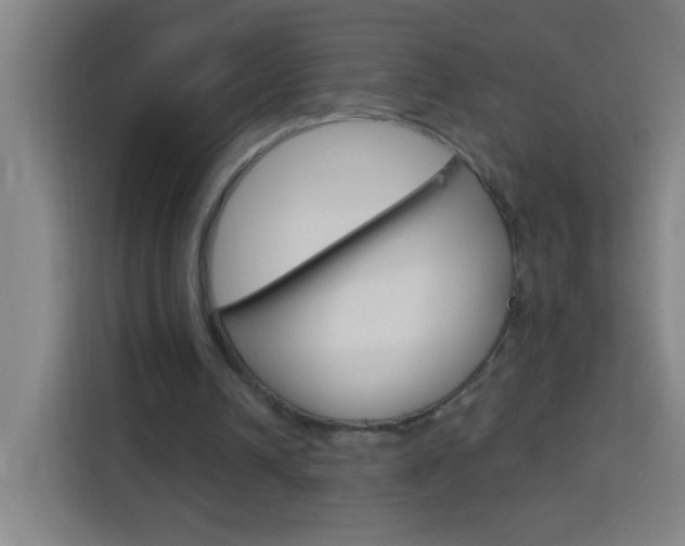 X0000114180242200910081139