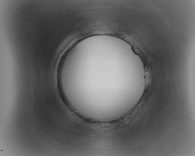 X0000114180243200910081139