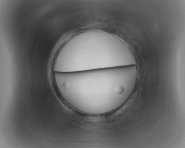 X0000114180245200910081139