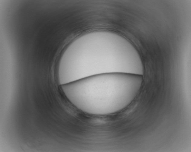 X0000114180250200910081139