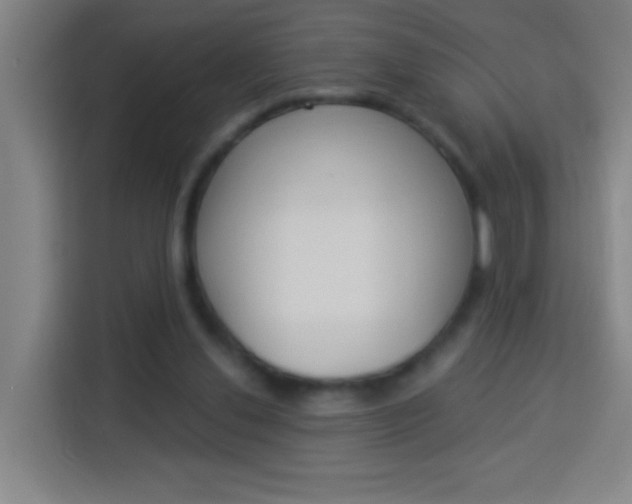 X0000114180252200910081139