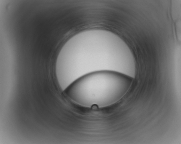 X0000114180260200910081139
