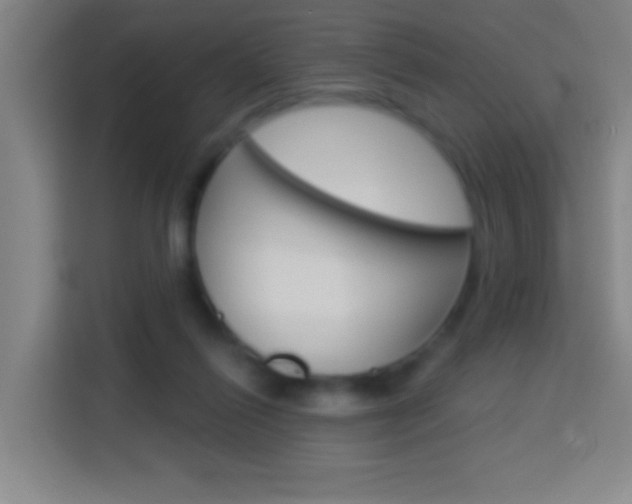 X0000114180262200910081139