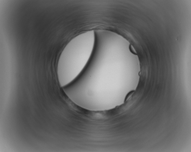 X0000114180285200910081139