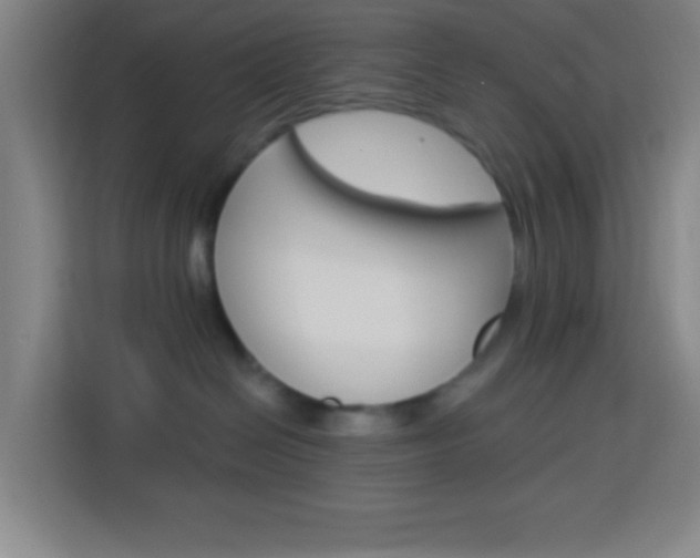X0000114180286200910081139