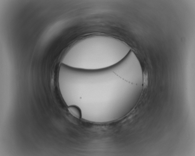X0000114180291200910081139