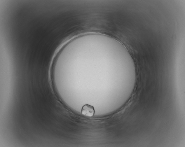 X0000114180292200910081139