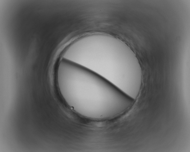 X0000114180295200910081139