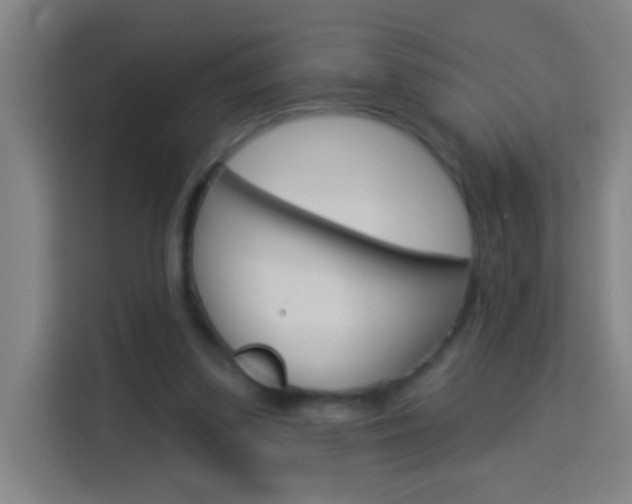 X0000114180299200910081139