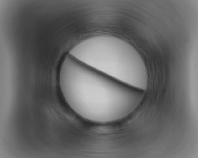 X0000114180303200910081139