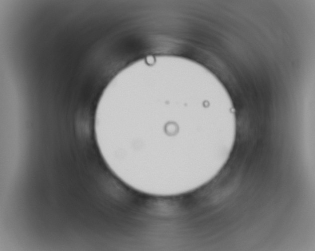 X0000114180305200910081138