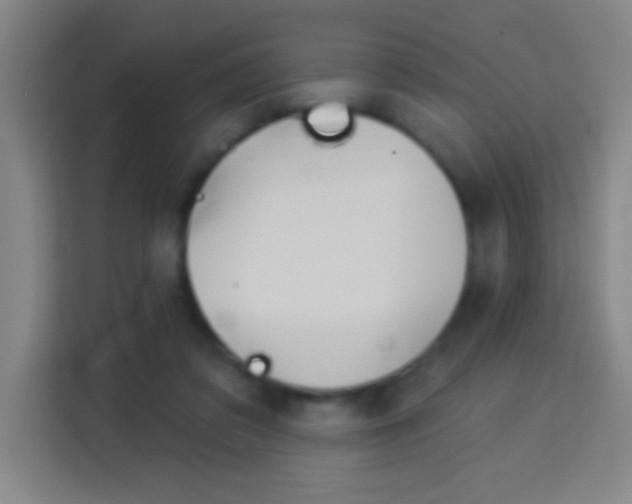 X0000114180309200910081138