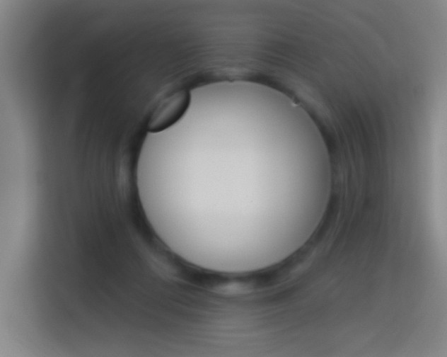 X0000114180312200910081138