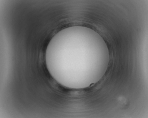 X0000114180323200910081138