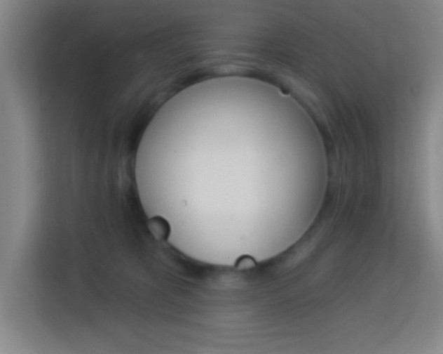 X0000114180325200910081138