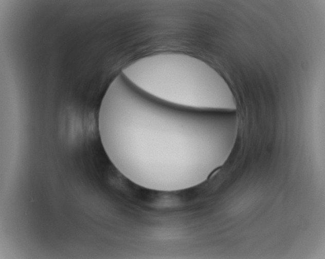 X0000114180335200910081138