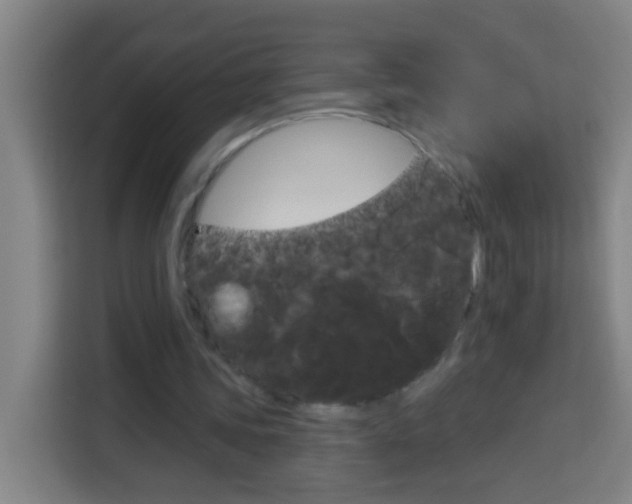 X0000114180339200910081137