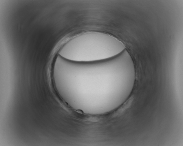 X0000114180341200910081138