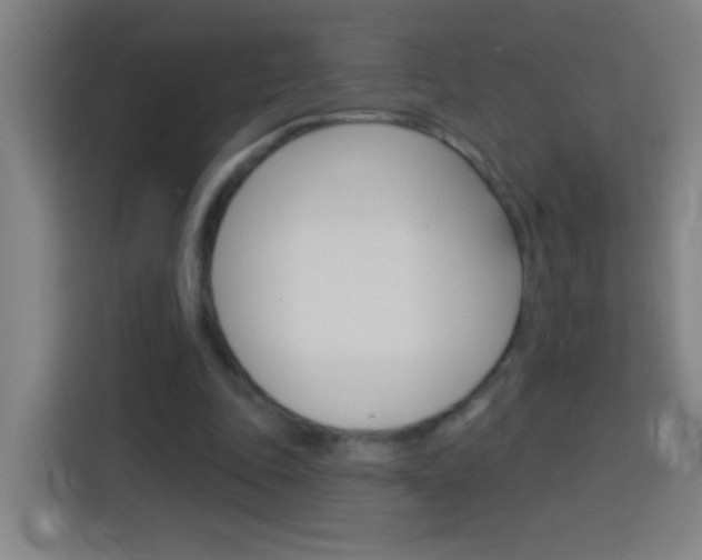 X0000114180343200910081138