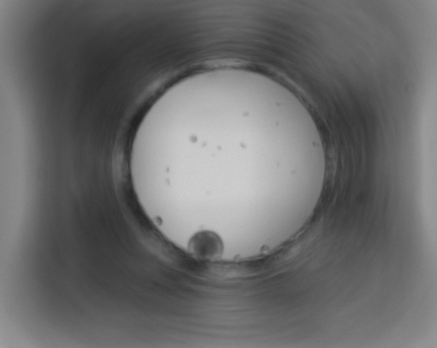 X0000114180351200910081138