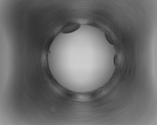 X0000114180360200910081138
