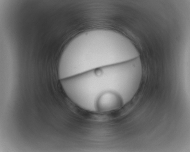 X0000114180366200910081138