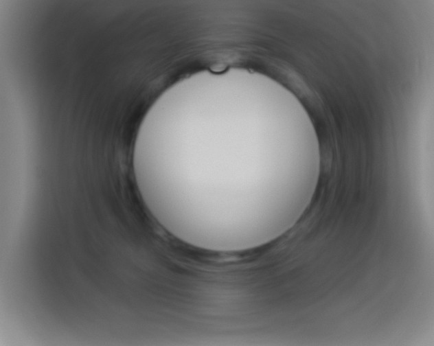 X0000114180374200910081138