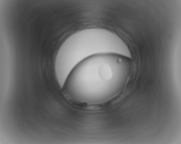 X0000114180376200910081138