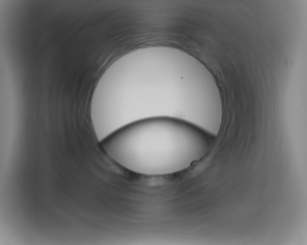 X0000114180384200910081138