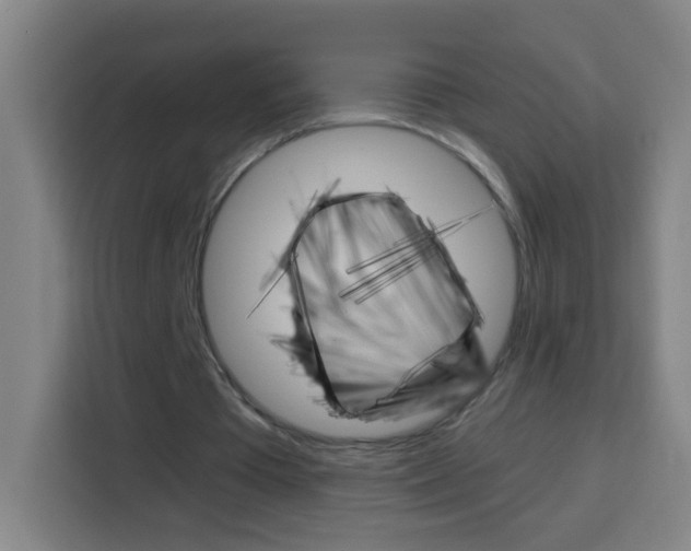 X0000114180385200910081137