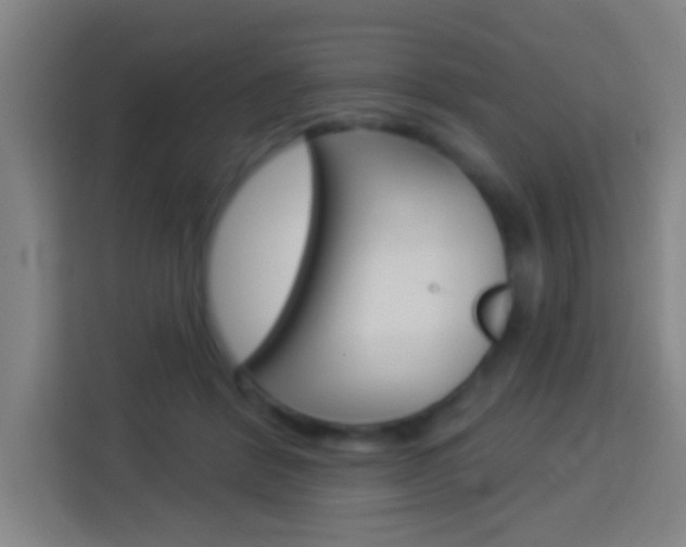 X0000114180412200910081137