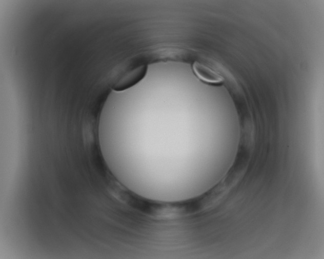 X0000114180413200910081137