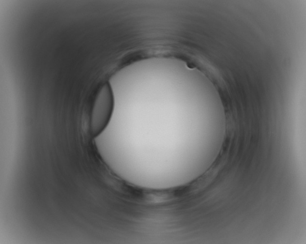 X0000114180417200910081137