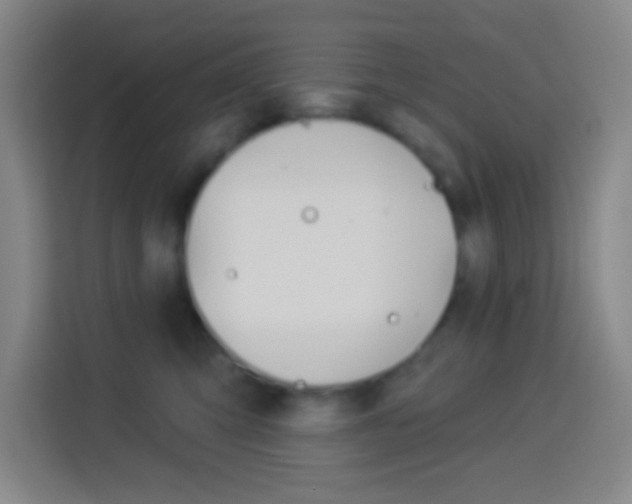 X0000114180423200910081137