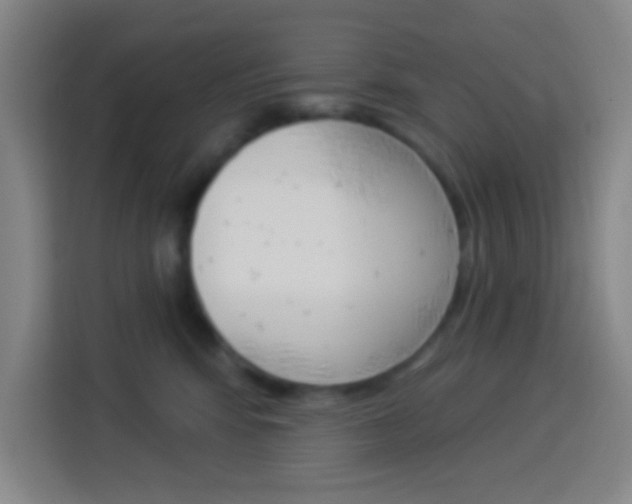 X0000114180424200910081137
