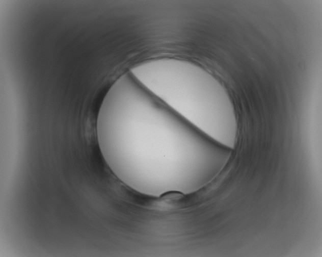 X0000114180425200910081137