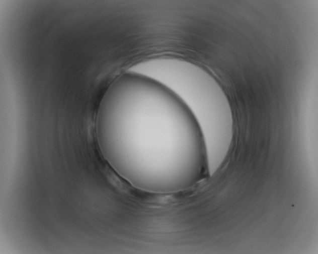 X0000114180427200910081137