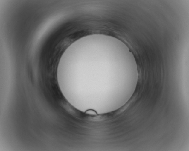 X0000114180430200910081137