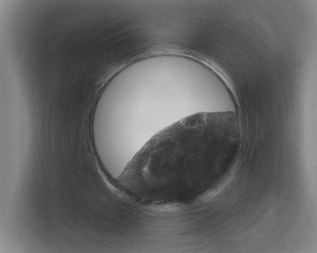 X0000114180433200910081136